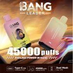 Bang Leader 45000 45K Puffs 2% 3% 5% Nicotine Double Taste LED Display Disposable Vape