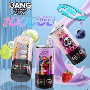 Bang Leader Stoll 100K 100000 Puffs 4 in 1 Flavors & Quad Mesh Coil LED Display Disposable Vape