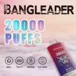 Bang Leader 20000 20K Puffs Newest Product Disposable Vape